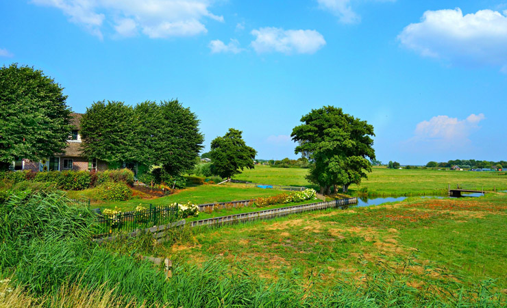 polders