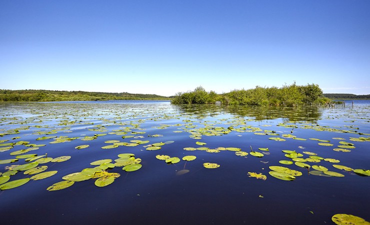 Lac de Léon