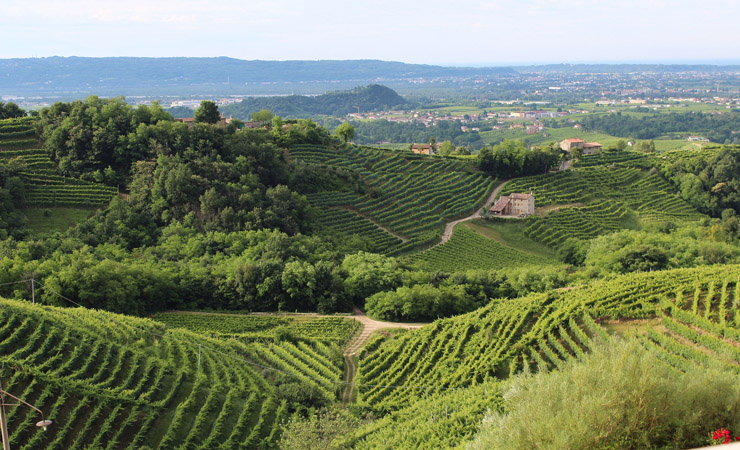 Trevise - campagne
