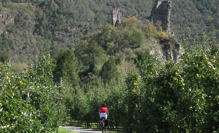 Ruine - Vinschgau