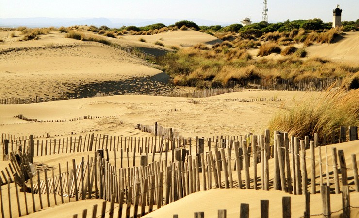 Camargue - plages