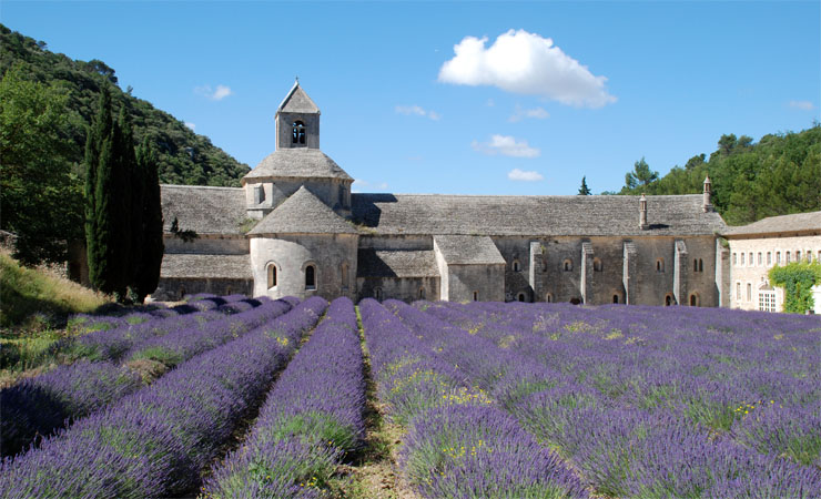 Abbaye Notre-Dame de Sénanque