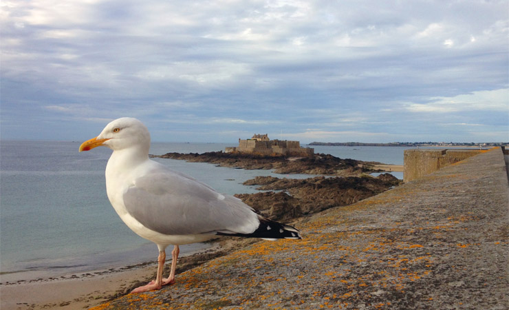 St Malo - remparts & Fort National