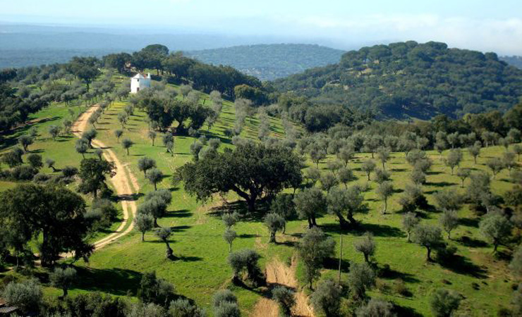 Paysage Alentejo