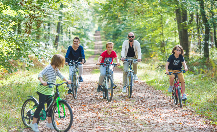 piste cyclable - Foret de Loches