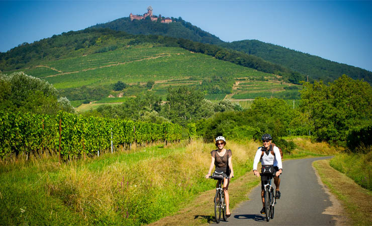 vignoble & Haut Koenigsbourg