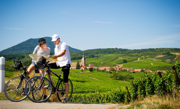 vignoble d'Alsace