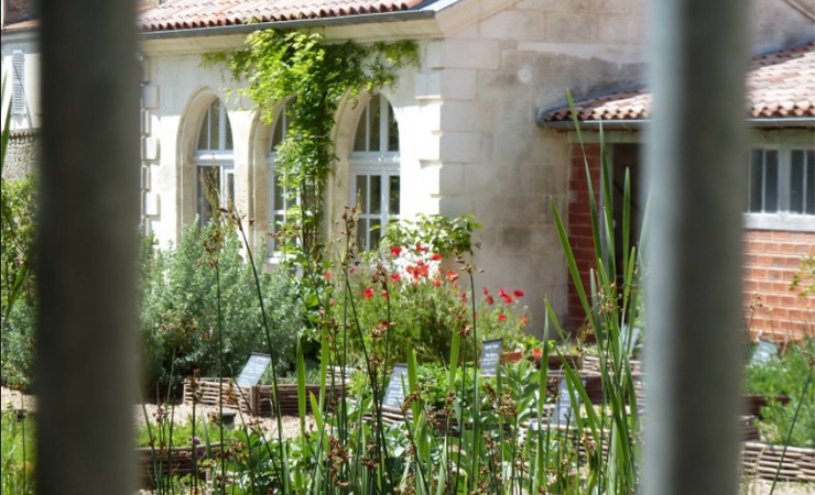 Le potager au jardin de la Marine - Rochefort