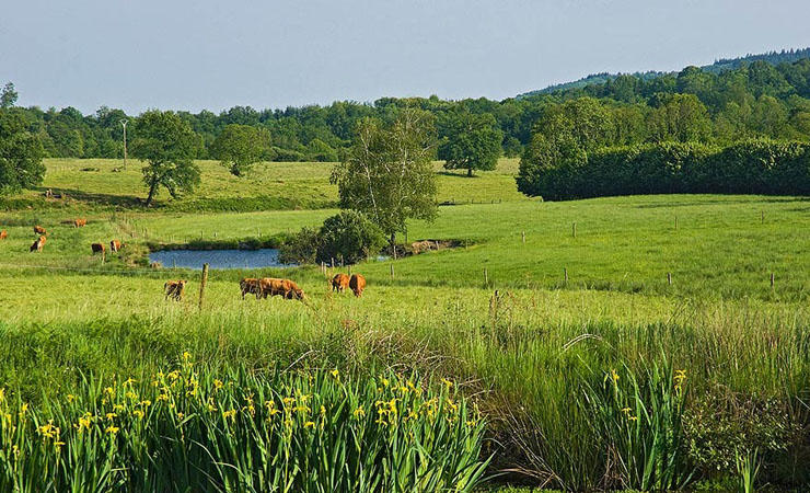 Paysage du Périgord