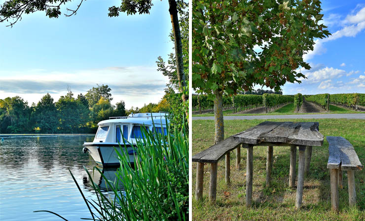 La Charente et ses vignobles