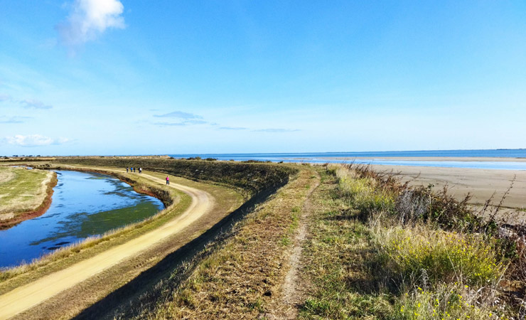 Noirmoutier - piste cyclable