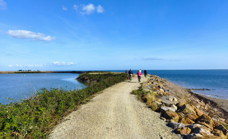 Polder Sébastopol - Noirmoutier