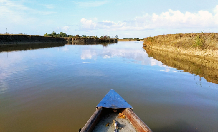 marais de Sallertaine