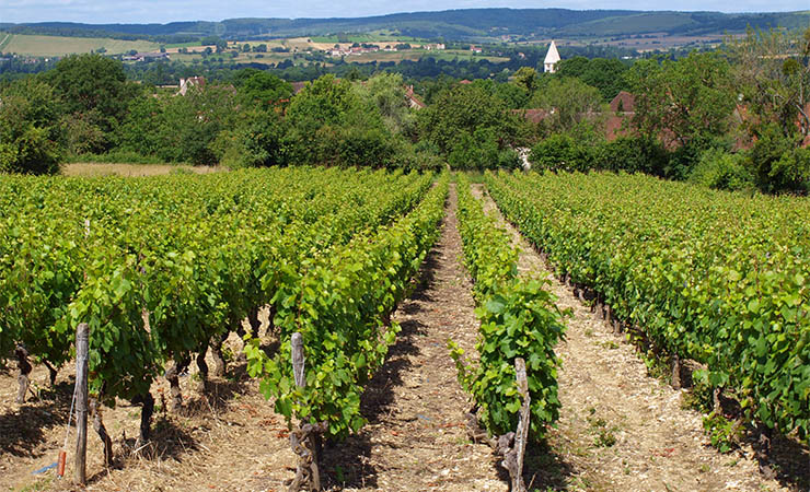 Vue depuis la Voie Verte