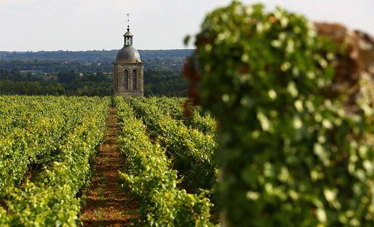 Vignobles de Vouvray