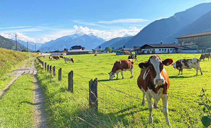 Innsbruck- Vienne