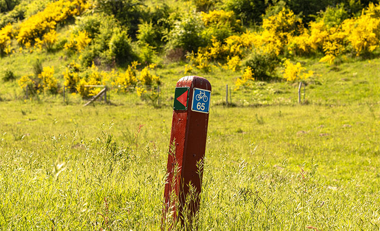 Wegweiser Route 65_Fünen