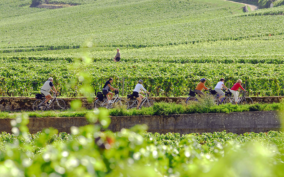 Véloroute à travers les vignes