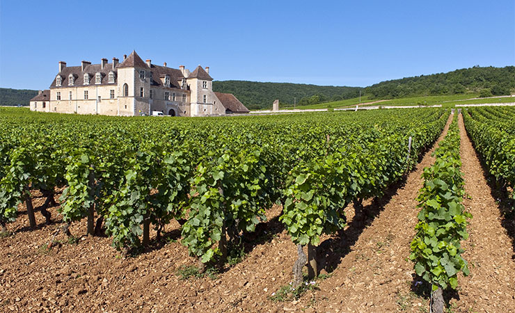 Château du Clos de Vougeot