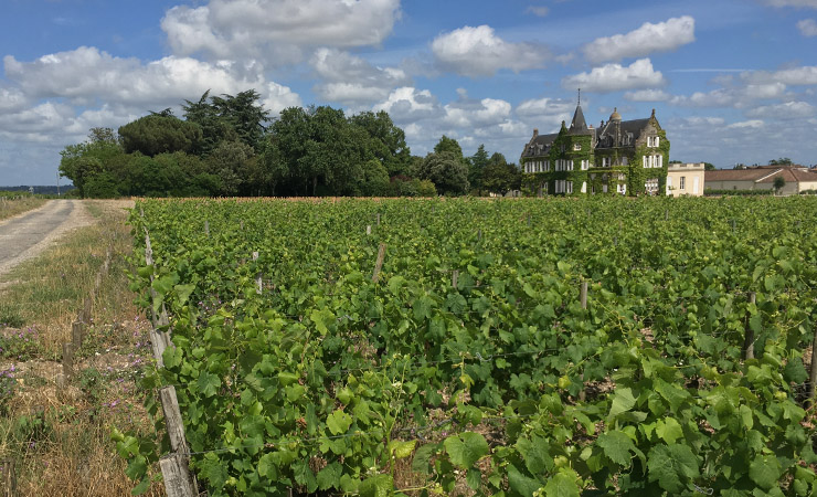 vignobles bordelais