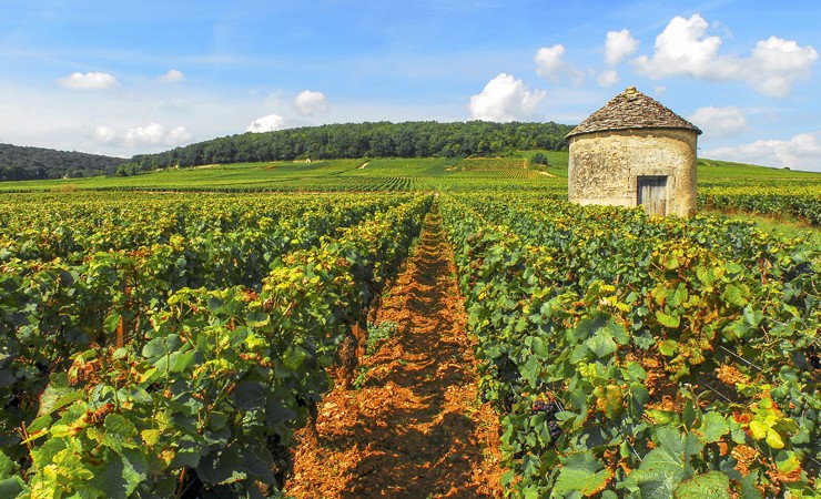 Côte de Beaune