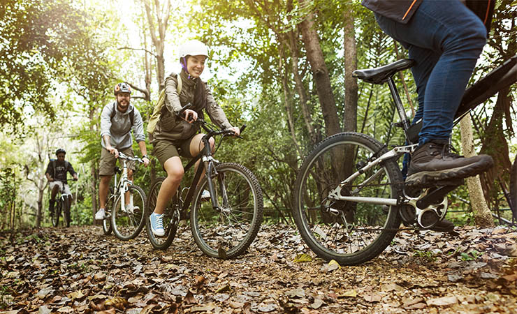 Vélos en forêt