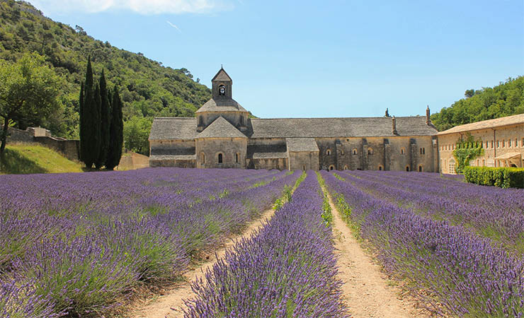 Abbaye de Sénanque